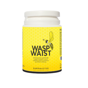Wasp Waist – Abbonamento 24€
